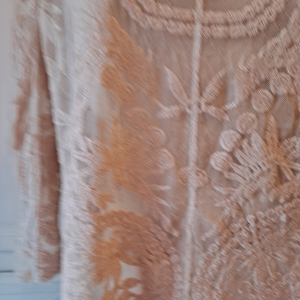 Ultra Pink Blush Dusty Rose Embroidered Sheer Lace Scoop-Neck Blouse - Picture 2 of 12